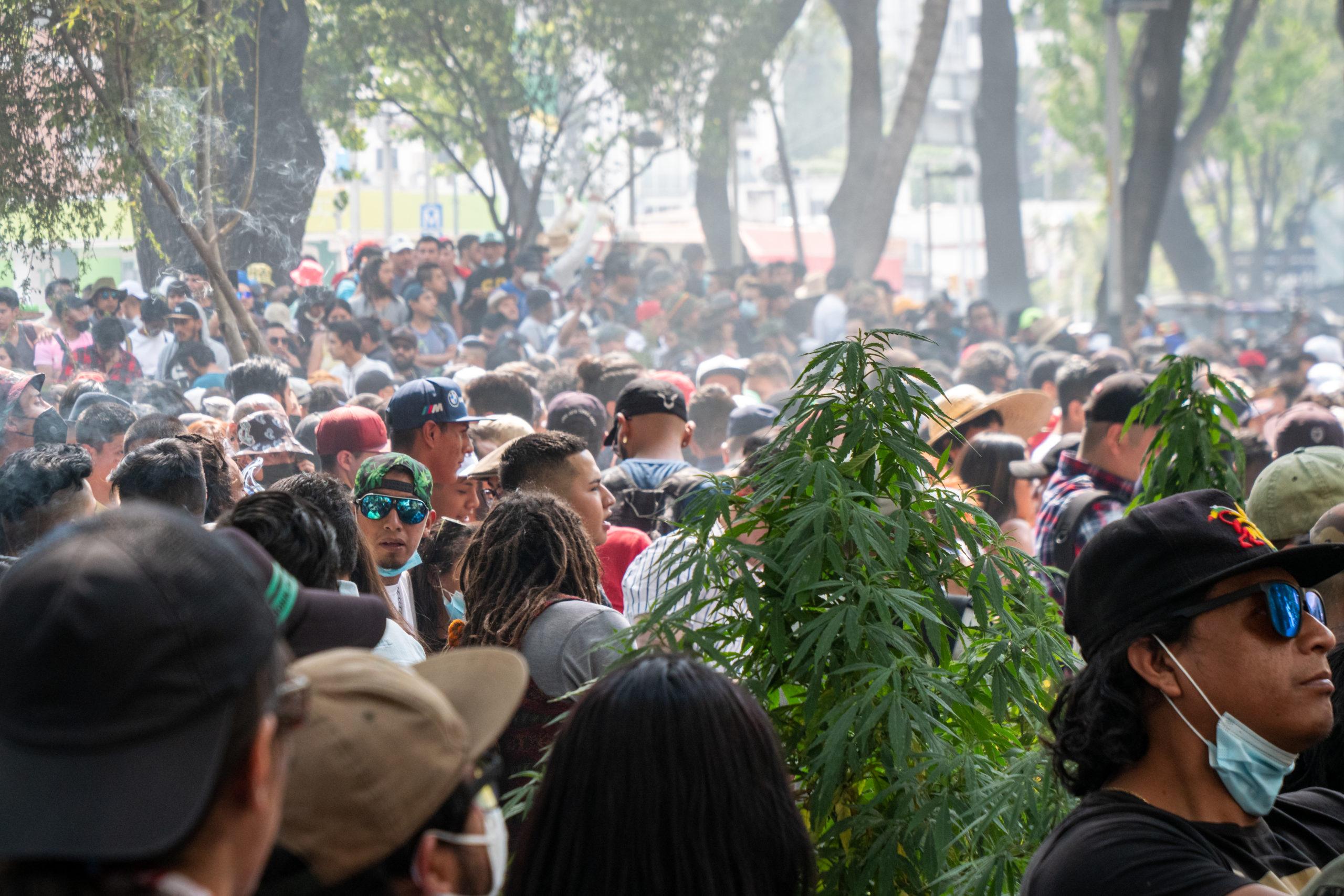 Mexico City Pro-Marijuana March